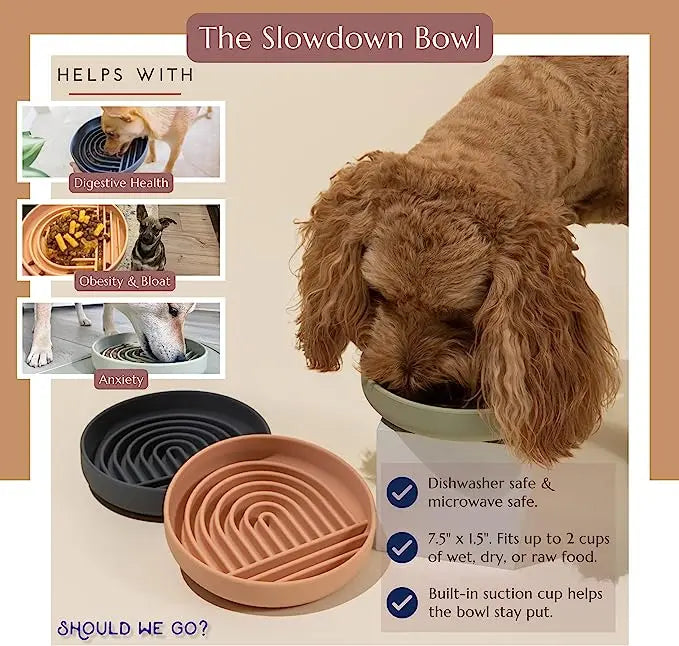 Slow Food Bowl Cat Anti-Knockover