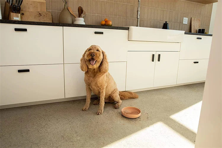 Slow Food Bowl Cat Anti-Knockover